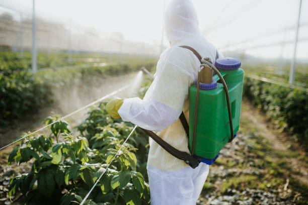 Pest Control for Restaurants in Center Point, NM